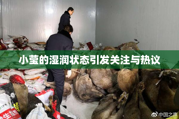 小莹的湿润状态引发关注与热议