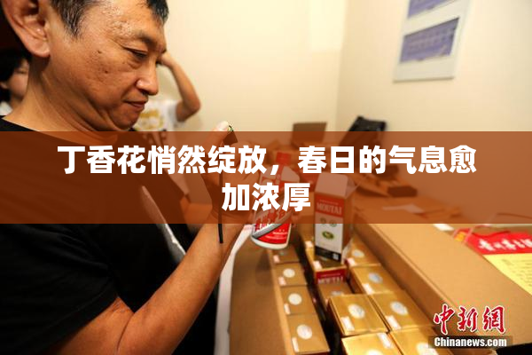丁香花悄然绽放，春日的气息愈加浓厚