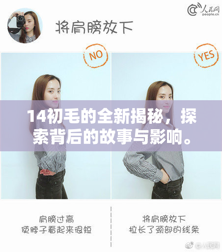14初毛的全新揭秘，探索背后的故事与影响。