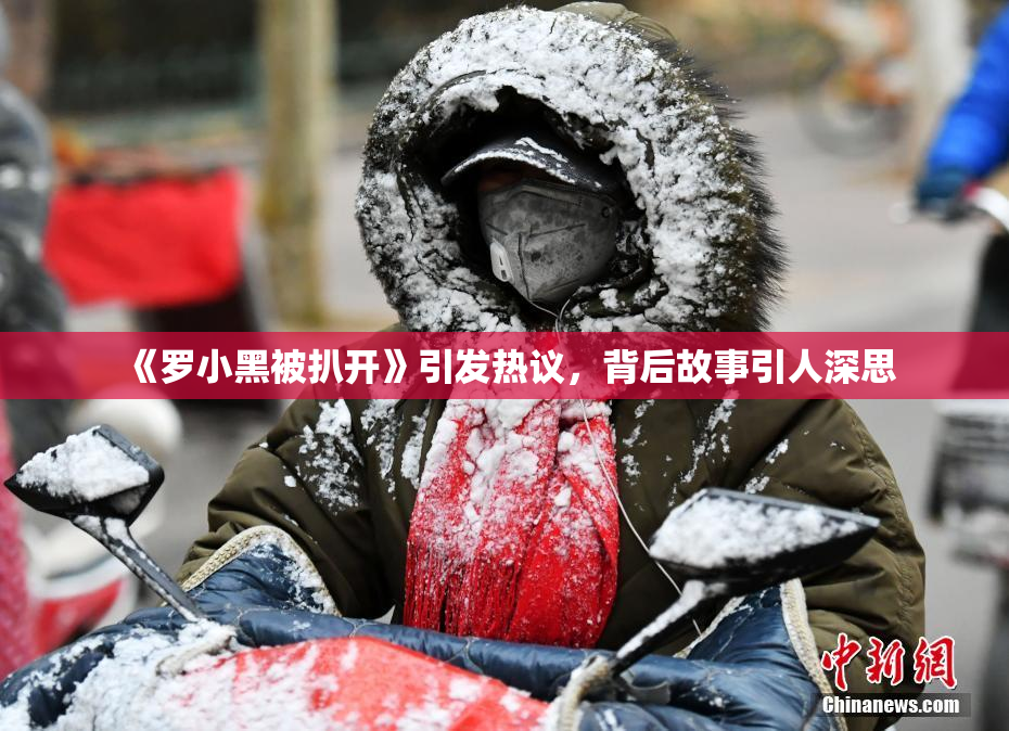 《罗小黑被扒开》引发热议，背后故事引人深思