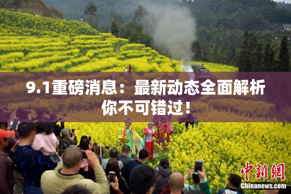 9.1重磅消息：最新动态全面解析你不可错过！
