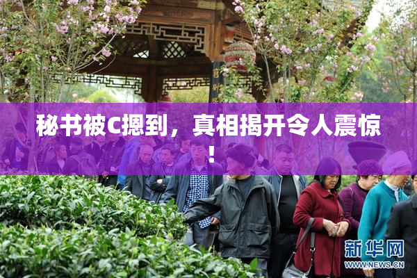 秘书被C摁到，真相揭开令人震惊！