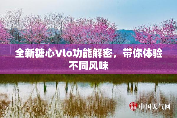 全新糖心Vlo功能解密，带你体验不同风味