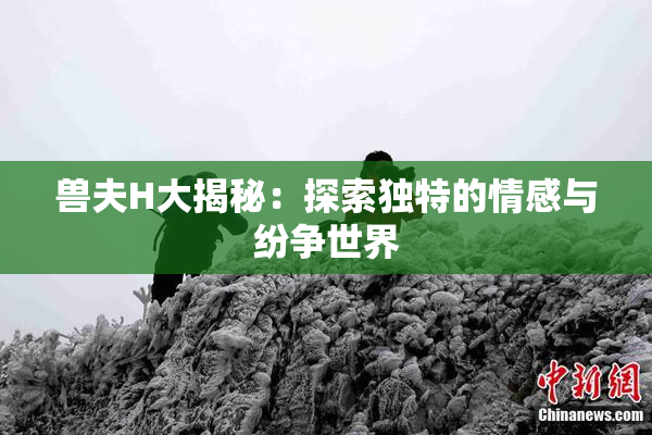 兽夫H大揭秘：探索独特的情感与纷争世界