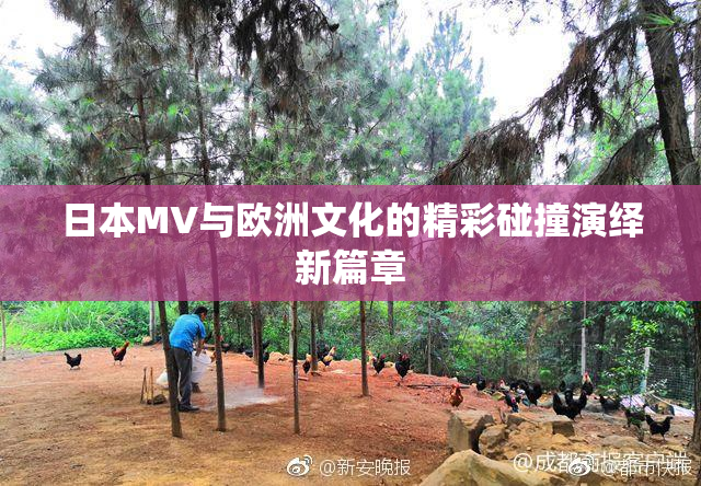 日本MV与欧洲文化的精彩碰撞演绎新篇章