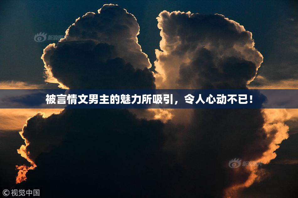 被言情文男主的魅力所吸引，令人心动不已！