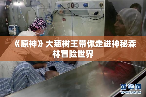 《原神》大慈树王带你走进神秘森林冒险世界