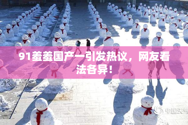 91羞羞国产一引发热议，网友看法各异！
