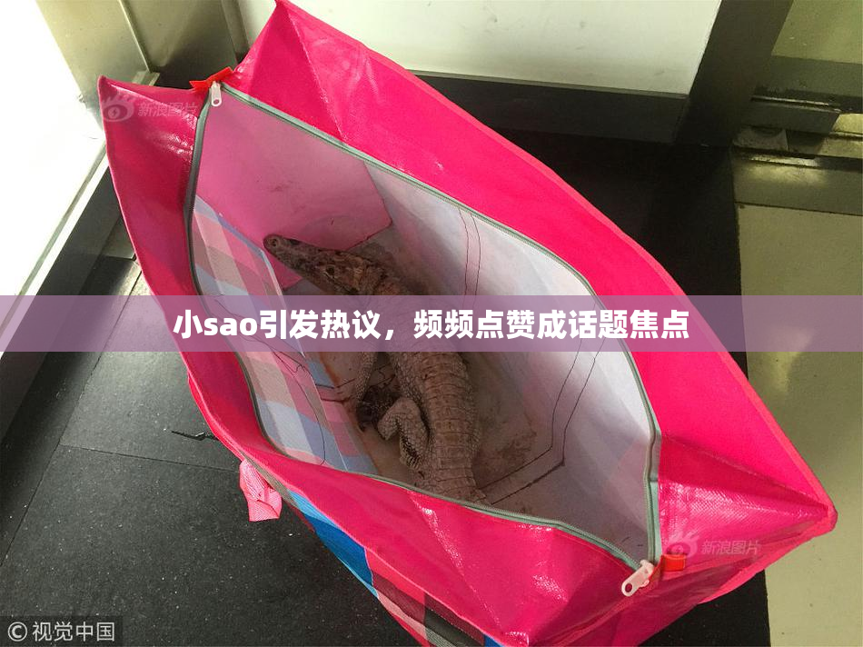 小sao引发热议，频频点赞成话题焦点