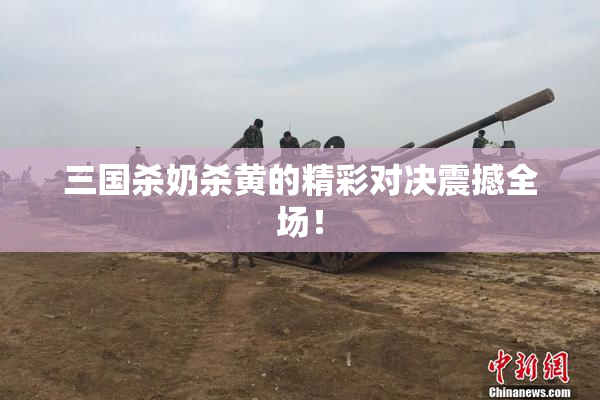 三国杀奶杀黄的精彩对决震撼全场！