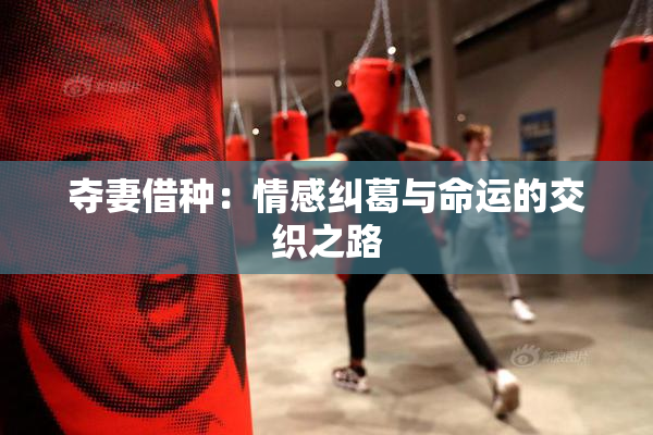夺妻借种：情感纠葛与命运的交织之路