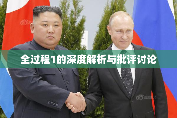 全过程1的深度解析与批评讨论