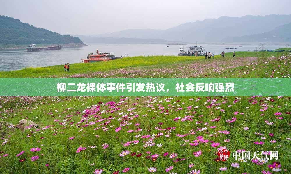 柳二龙裸体事件引发热议，社会反响强烈