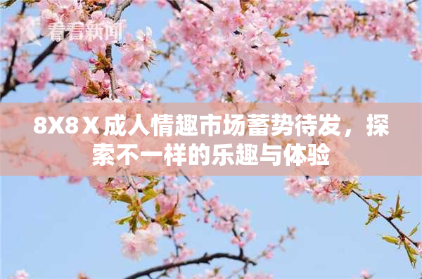 8X8Ⅹ成人情趣市场蓄势待发，探索不一样的乐趣与体验