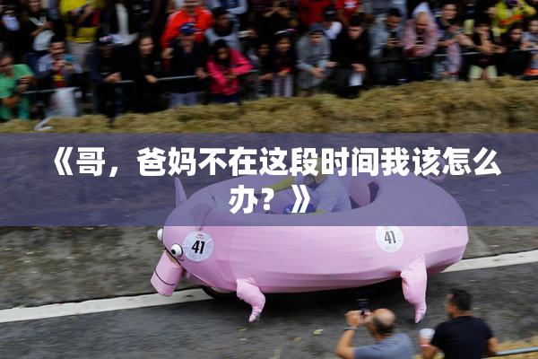 《哥，爸妈不在这段时间我该怎么办？》