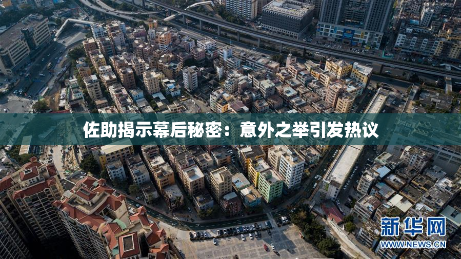 佐助揭示幕后秘密：意外之举引发热议