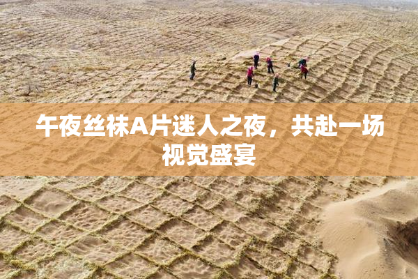 午夜丝袜A片迷人之夜，共赴一场视觉盛宴