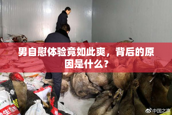 男自慰体验竟如此爽，背后的原因是什么？