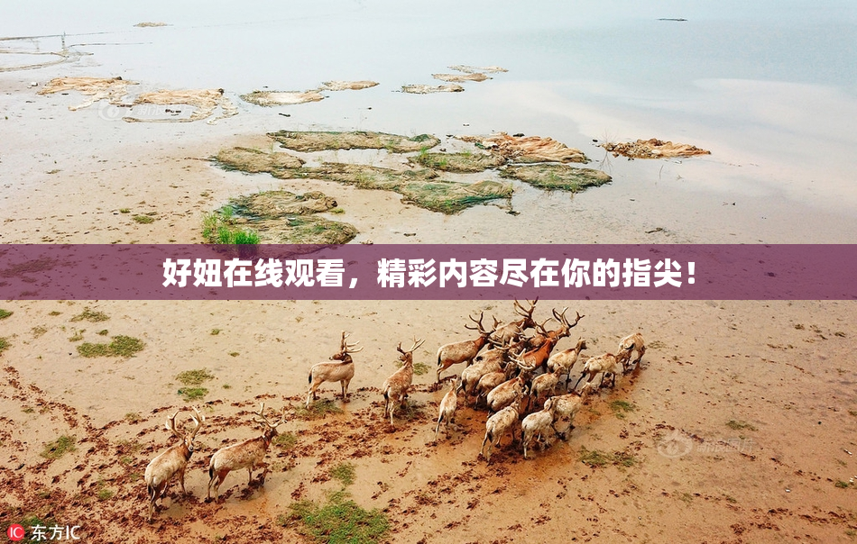 好妞在线观看，精彩内容尽在你的指尖！