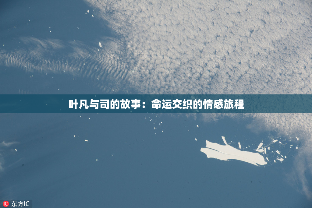 叶凡与司的故事：命运交织的情感旅程