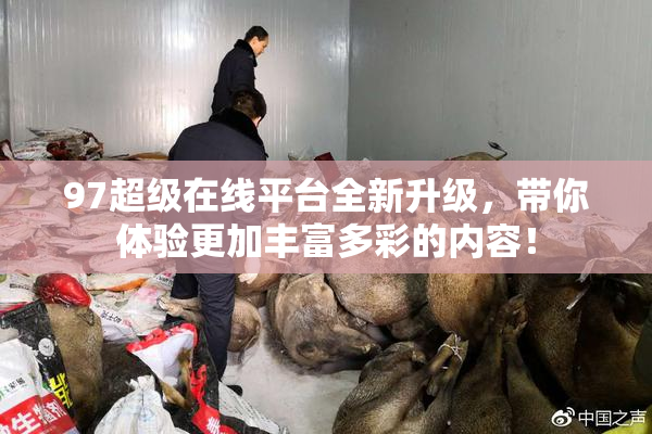 97超级在线平台全新升级，带你体验更加丰富多彩的内容！