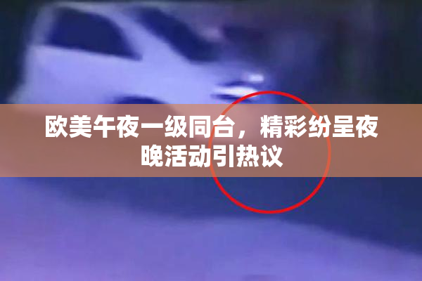 欧美午夜一级同台，精彩纷呈夜晚活动引热议