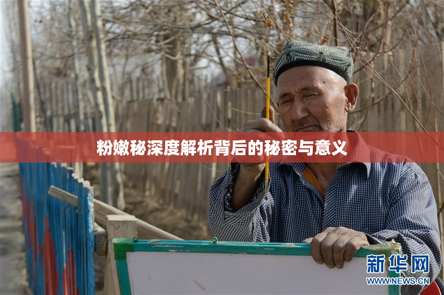 粉嫩秘深度解析背后的秘密与意义