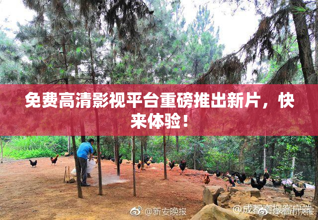 免费高清影视平台重磅推出新片，快来体验！