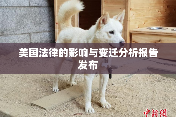 美国法律的影响与变迁分析报告发布