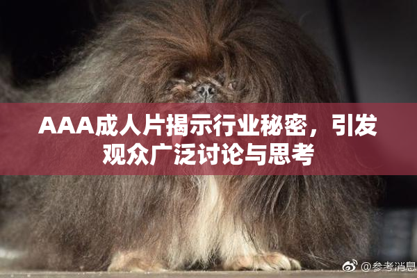AAA成人片揭示行业秘密，引发观众广泛讨论与思考