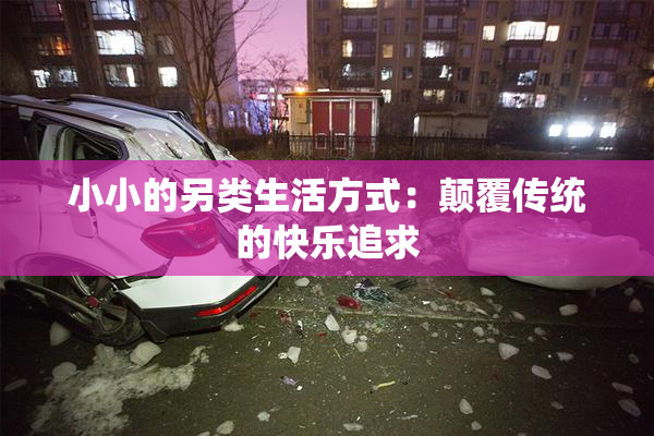 小小的另类生活方式：颠覆传统的快乐追求