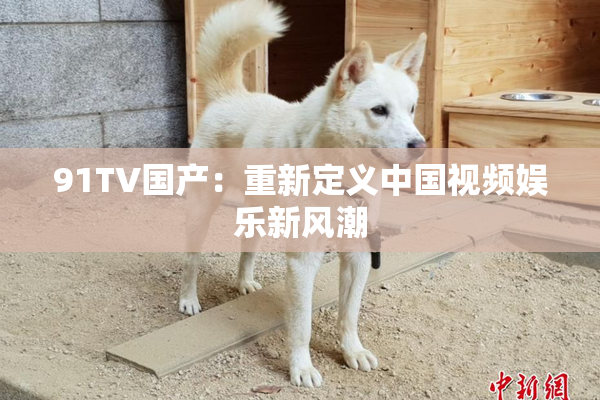 91TV国产：重新定义中国视频娱乐新风潮