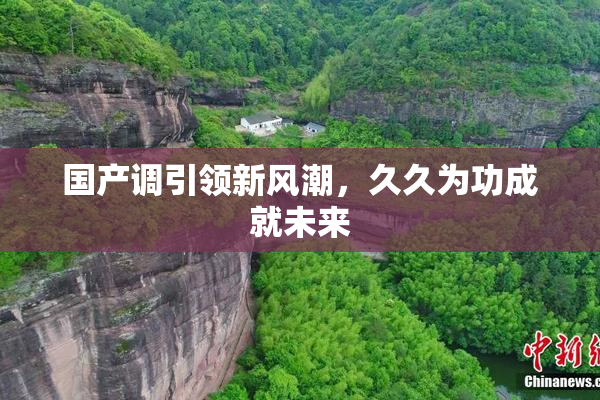国产调引领新风潮，久久为功成就未来