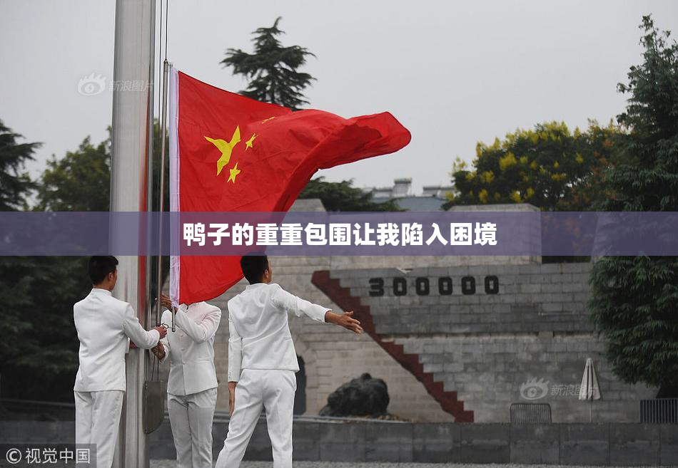 鸭子的重重包围让我陷入困境