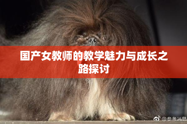 国产女教师的教学魅力与成长之路探讨