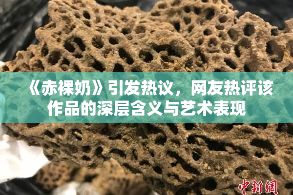 《赤裸奶》引发热议，网友热评该作品的深层含义与艺术表现