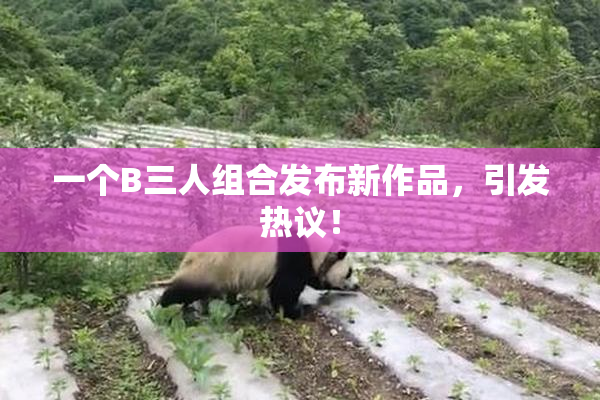 一个B三人组合发布新作品，引发热议！