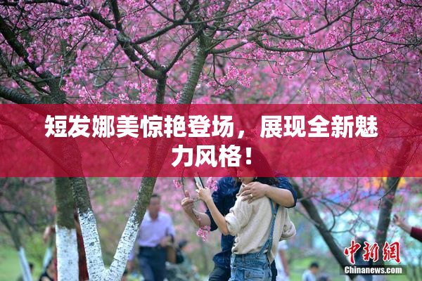 短发娜美惊艳登场，展现全新魅力风格！