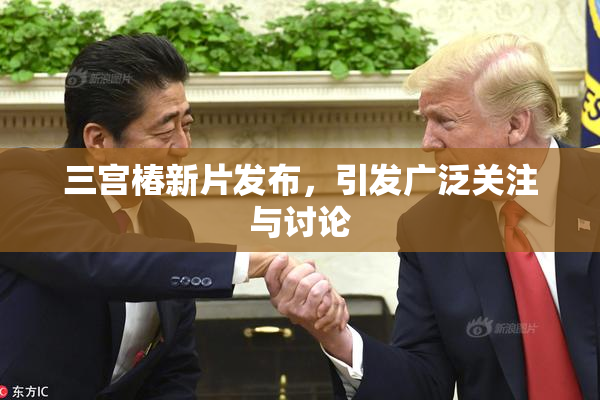 三宫椿新片发布，引发广泛关注与讨论