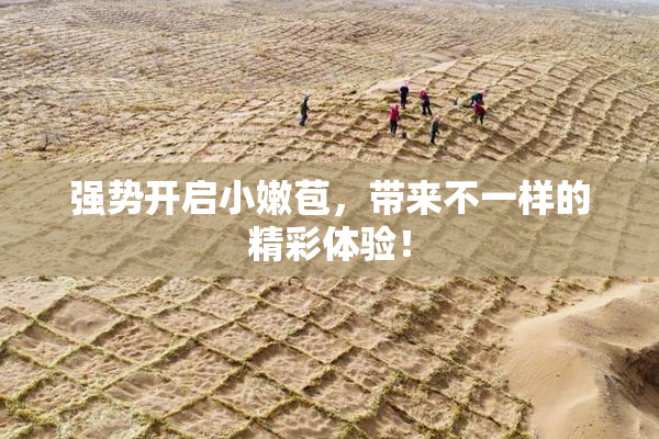 强势开启小嫩苞，带来不一样的精彩体验！