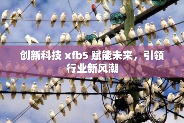 创新科技 xfb5 赋能未来，引领行业新风潮