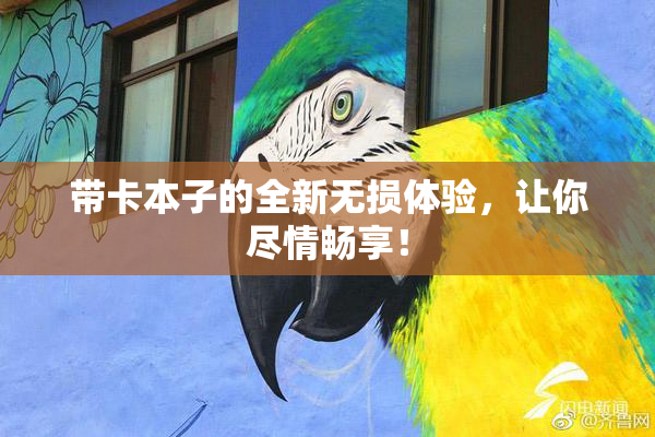 带卡本子的全新无损体验，让你尽情畅享！