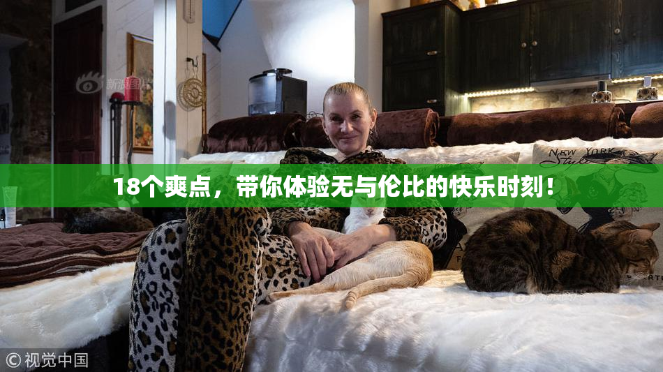 18个爽点，带你体验无与伦比的快乐时刻！