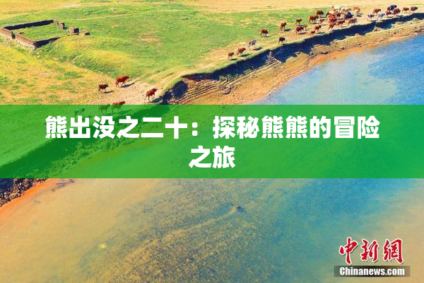 熊出没之二十：探秘熊熊的冒险之旅