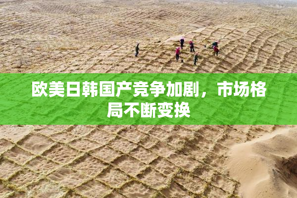欧美日韩国产竞争加剧，市场格局不断变换