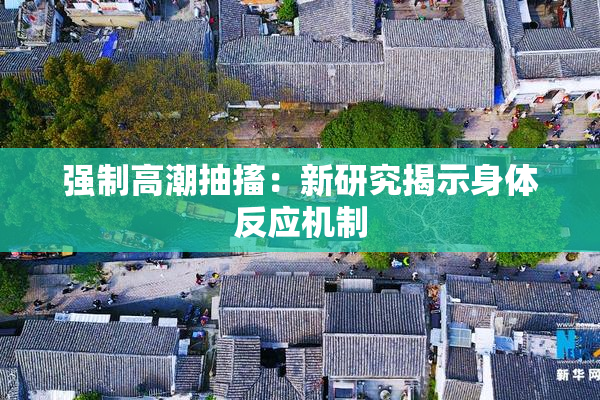强制高潮抽搐：新研究揭示身体反应机制
