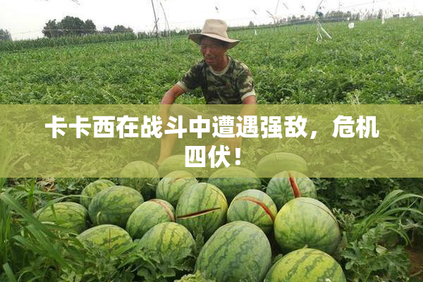 卡卡西在战斗中遭遇强敌，危机四伏！