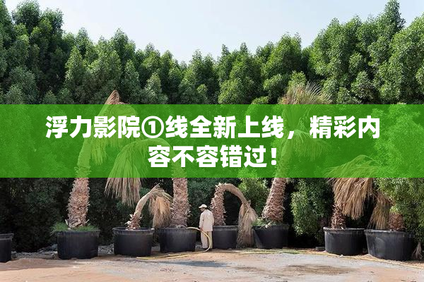 浮力影院①线全新上线，精彩内容不容错过！