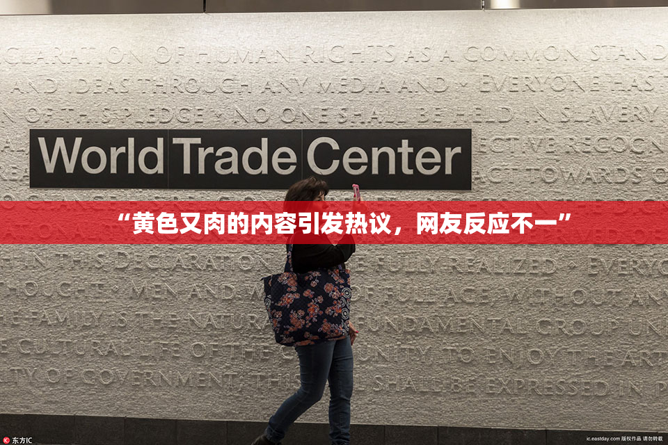 “黄色又肉的内容引发热议，网友反应不一”