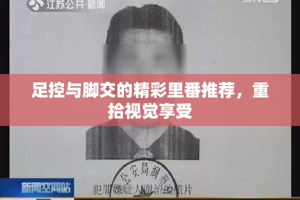 足控与脚交的精彩里番推荐，重拾视觉享受